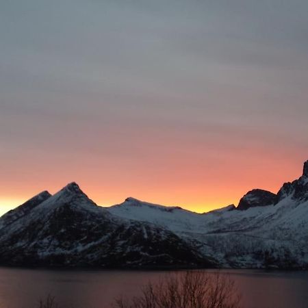 Tofta Senja, Husoy I Senja. Leilighet Med Utsikt Over Fjord Og Fjell מראה חיצוני תמונה