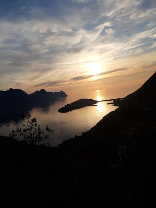 Tofta Senja, Husoy I Senja. Leilighet Med Utsikt Over Fjord Og Fjell מראה חיצוני תמונה