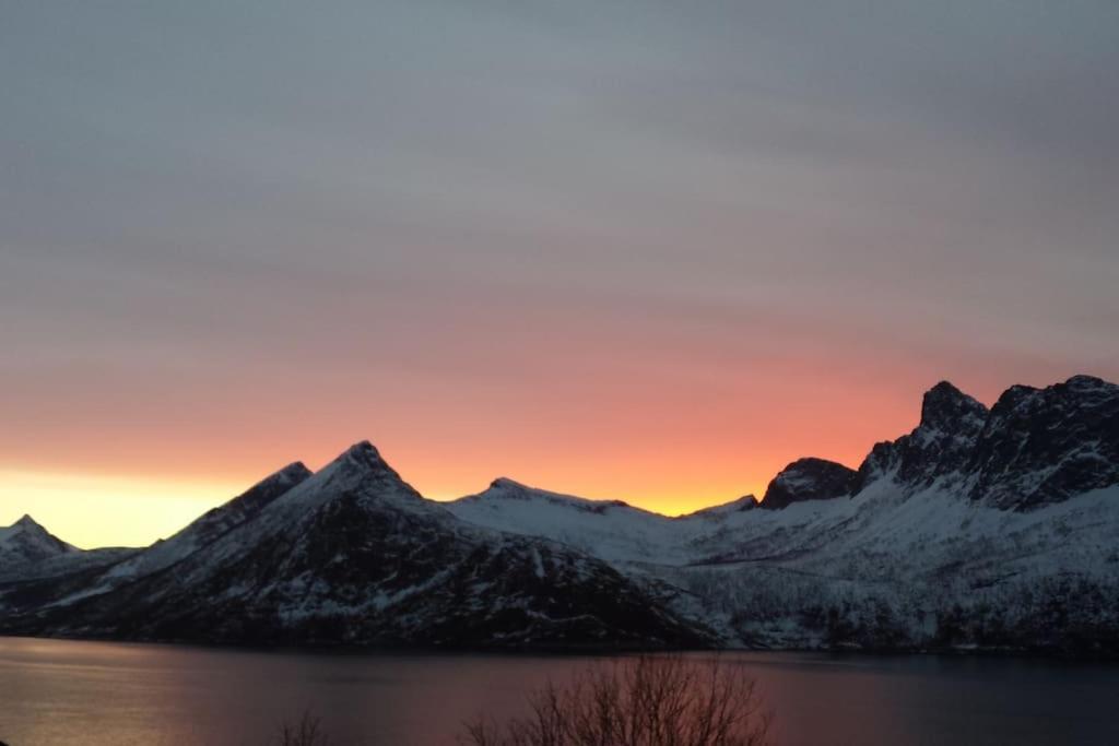 Tofta Senja, Husoy I Senja. Leilighet Med Utsikt Over Fjord Og Fjell מראה חיצוני תמונה