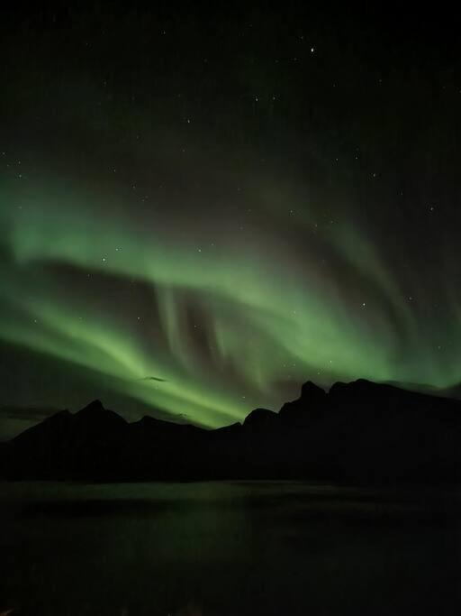 Tofta Senja, Husoy I Senja. Leilighet Med Utsikt Over Fjord Og Fjell מראה חיצוני תמונה